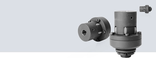 Lasthaltende Rutschkupplung Securmax Slip DF-GAS 